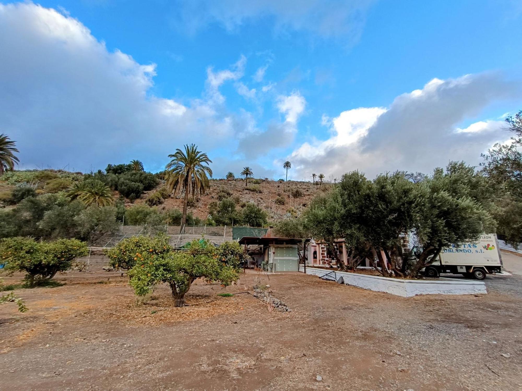 La Casa De La Pradera Bed & Breakfast Santa Lucia De Tirajana Luaran gambar